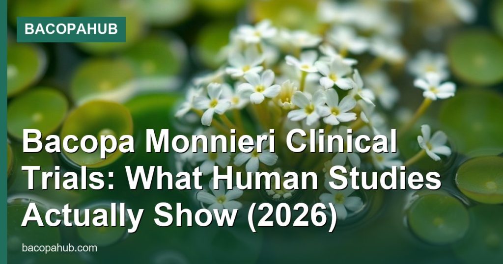 Bacopa Monnieri Clinical Trials: What Human Studies Actually Show (2026) - BacopaHub