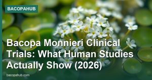 Bacopa Monnieri Clinical Trials: What Human Studies Actually Show (2026)